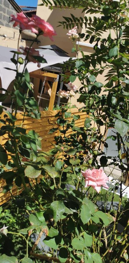 Lyon Superbe Jacuzzi Vue Sur Jardin Villeurbanne Exterior foto